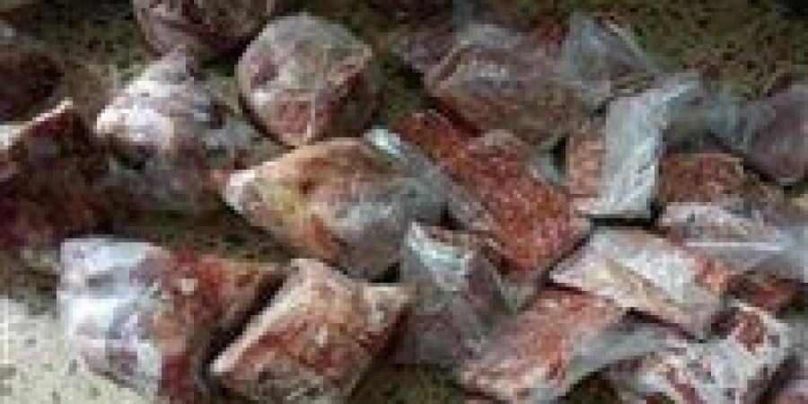 ضبط 418 كيلو لحوم ودواجن وأسماك فاسدة قبل ترويجها في الغربية - هرم مصر