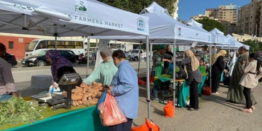 إقبال كبير على سوق اليوم الواحد للمواد الغذائية شمال الغردقة - هرم مصر