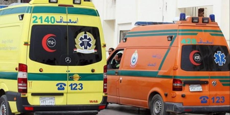 حادث مأساوي في طوخ.. مصرع ناشئ طلائع الجيش وصديقه تحت عجلات القطار - هرم مصر