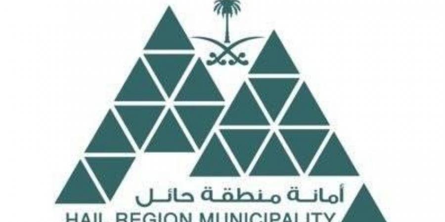 أمانة حائل تعقد ورشة عمل مع أمانات المناطق - هرم مصر