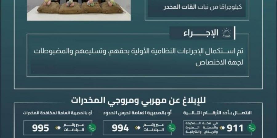 حرس الحدود بعسير يقبض على (4) مخالفين لتهريبهم (72) كيلوجرامًا من القات المخدر - هرم مصر