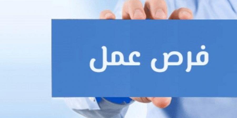 مرتبات تصل لـ10 آلاف جنيه.. وزارة العمل توفر فرصا للتوظيف في محطات المترو - هرم مصر