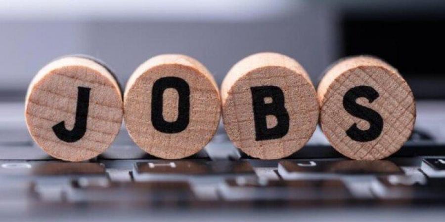 جامعة اللوتس بالمنيا تُعلن عن وظائف شاغرة لأعضاء هيئة التدريس - هرم مصر