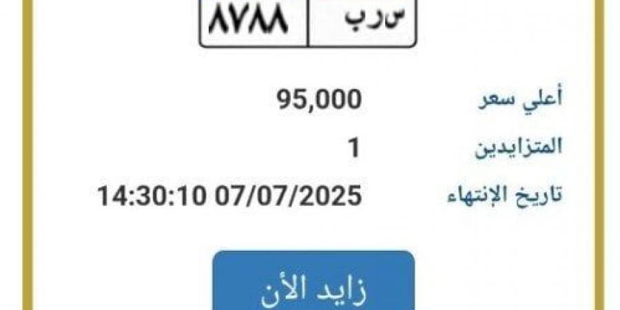 سعرها وصل لـ95 ألف جنيه.. «المرور» تطرح التزايد على لوحة سيارة مميزة - هرم مصر