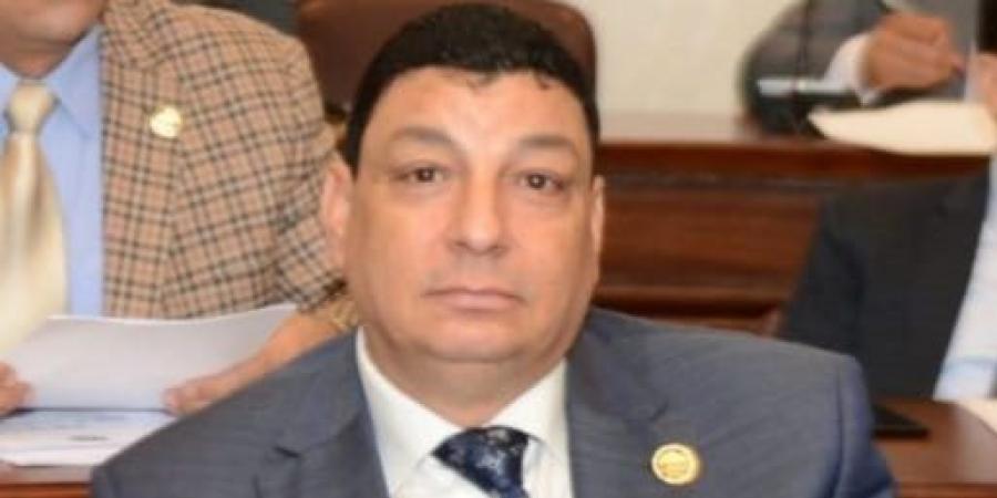 صناعة البرلمان: توجيهات الرئيس جعلت مصر قبلة للاستثمارات الصناعية العالمية - هرم مصر