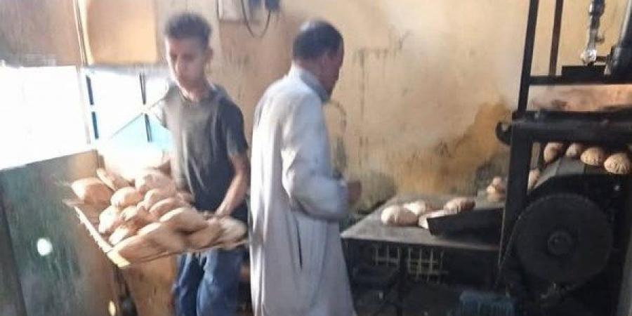 تموين أسوان تضبط 388 مخالفة متنوعة في مجال المخابز البلدية والأسواق - هرم مصر
