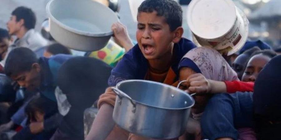 برنامج الأغذية العالمي: سكان غزة يواجهون مستويات حادة من الجوع - هرم مصر