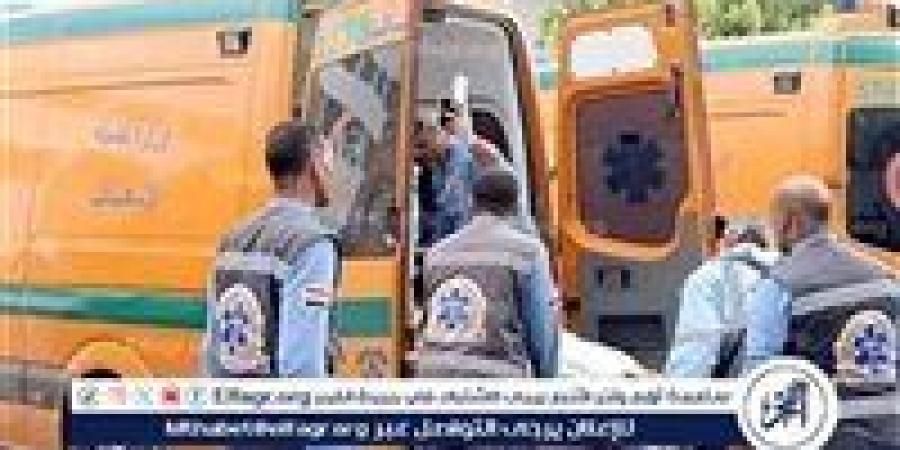إصابة 15 شخصا إثر انقلاب ميكروباص بصحراوي المنيا - هرم مصر