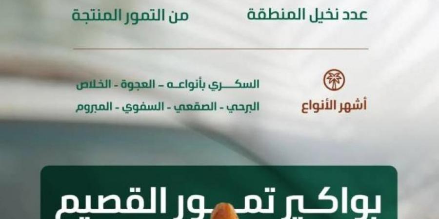 البيئة: موسم جني التمور بالقصيم يعزز الحراك الاقتصادي بالمملكة بإنتاج (390) ألف طن - هرم مصر