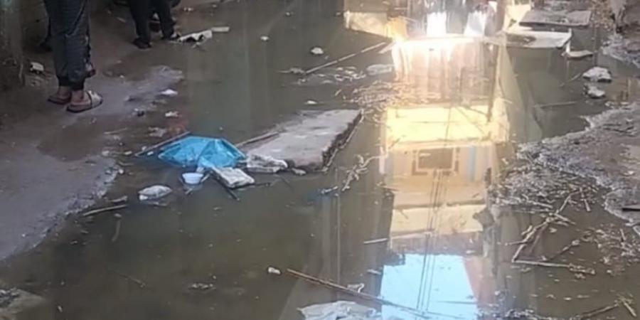 أهالي القنطرة البيضاء بكفر الشيخ يستغيثون بسبب مياه الصرف الصحي.. صور - هرم مصر