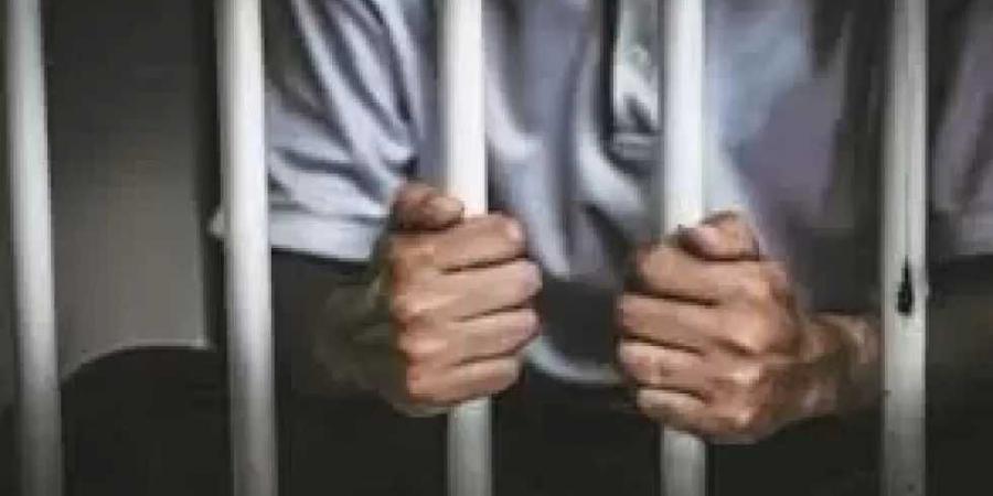 حاز حشيش وقاد تحت تأثير المخدر.. المشدد 15 عام لسائق بالخصوص - هرم مصر