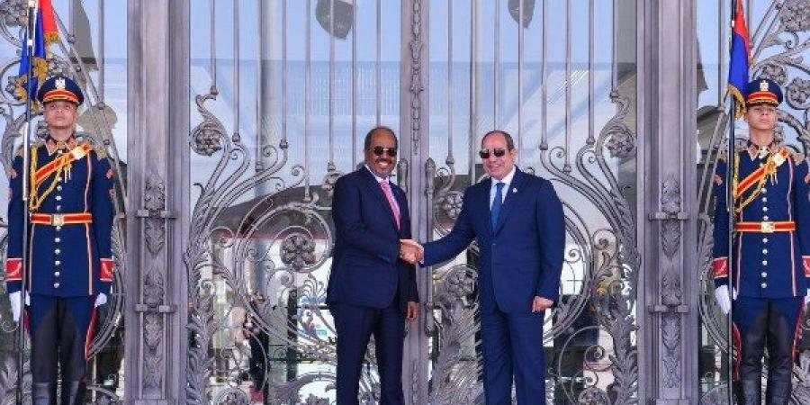 عماد الدين حسين: مصر تسعى لدعم الصومال أمنيًا وعسكريًا لمواجهة الإرهاب - هرم مصر