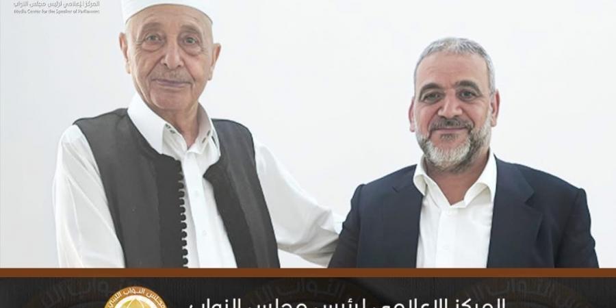 في القبة.. لقاء يجمع صالح والمشري لبحث حكومة موحدة والانتخابات المقبلة - هرم مصر