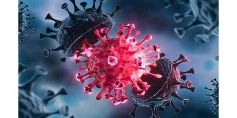 ظهر في 22 دولة.. عوض تاج الدين يُعلن مفاجأة بشأن متحور كورونا الجديد |فيديو - هرم مصر
