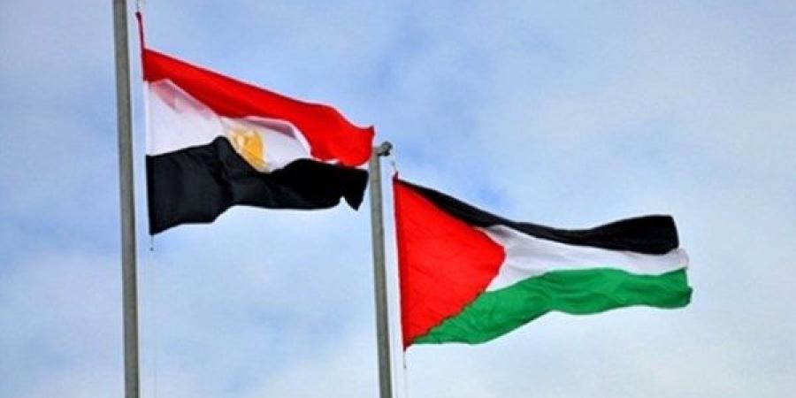 محمد عبد المنعم: من يتهم مصر بعرقلة المساعدات لغزة إما جاهل أو حاقد - هرم مصر