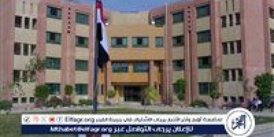 التعليم الرقمي جسر العودة: "مدرستك في مصر" تربط أبناء الجاليات المصرية بهويتهم الوطنية - هرم مصر