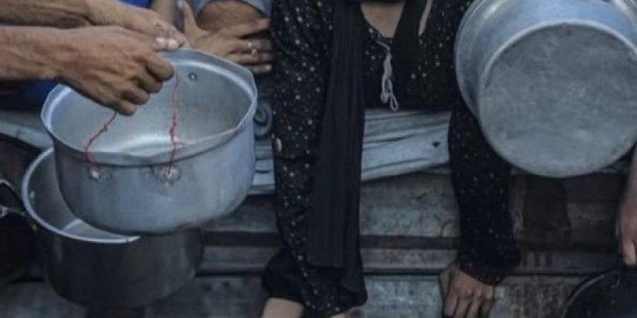 من بينهم 106 أطفال.. صحة غزة تعلن ارتفاع  ضحايا المجاعة لـ 239 شهيدًا - هرم مصر