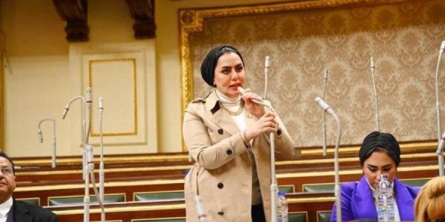 نائبة: الاستفادة من التقنيات الحديثة تحسن جودة الخدمات للمواطنين - هرم مصر