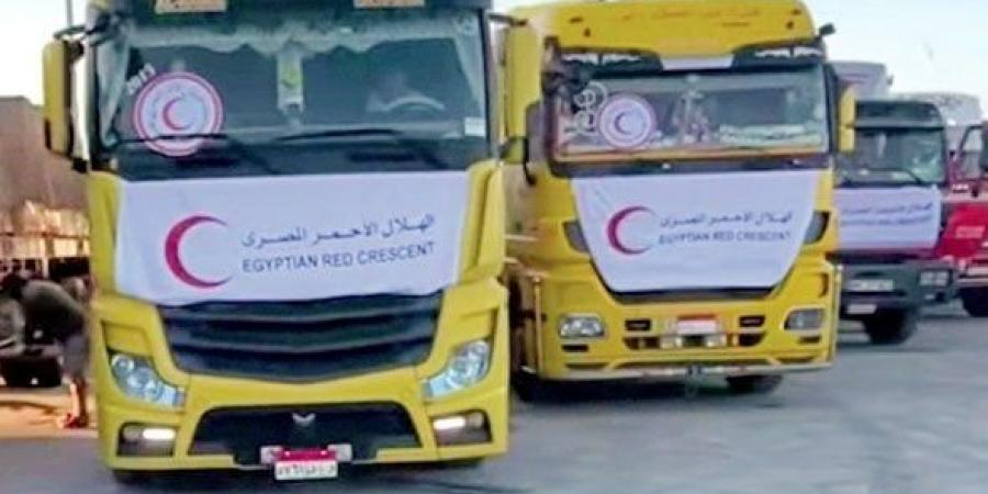 «2400 طن مساعدات».. الهلال الأحمر يرسل القافلة 16 من «زاد العزة لغزة» - هرم مصر