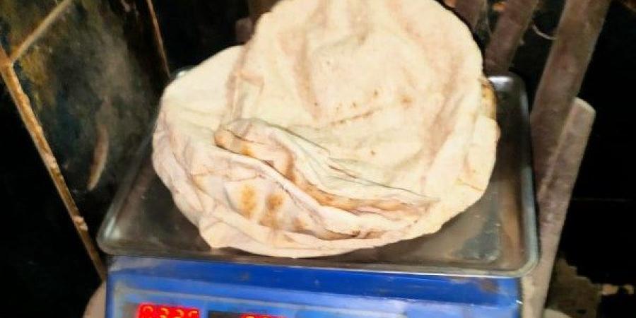 12 مخالفة في 8 مخابز.. حملات مفاجئة بالدقهلية لضبط جودة الخبز - هرم مصر