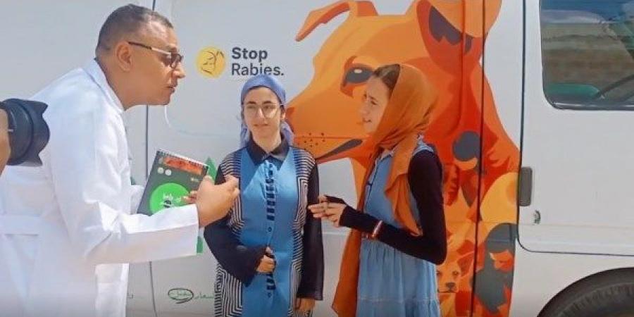 من محافظة الإسماعيلية.. "الخدمات البيطرية" تطلق فعاليات مبادرة "إيد واحدة ضد السعار" - هرم مصر