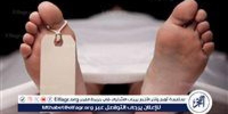 خلاف على الري ينتهي بجريمة قتل في الفيوم - هرم مصر