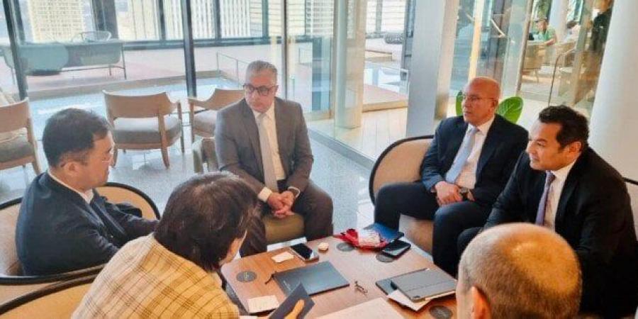 وفد المنطقة الاقتصادية لقناة السويس يبحث في طوكيو موعد افتتاح محطة «الرورو» بميناء غرب بورسعيد - هرم مصر