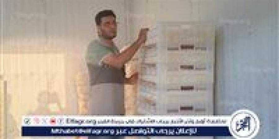 ضبط كمية كبيرة من جبنة الموزاريلا مجهولة المصدر في حملة رقابية ببني سويف - هرم مصر
