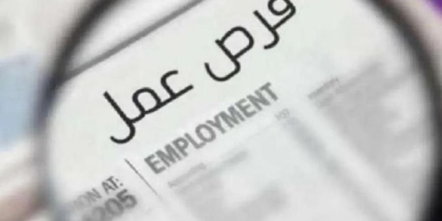 برواتب تصل إلى 350 دينار.. فرص عمل في الأردن 2025 للشباب - هرم مصر