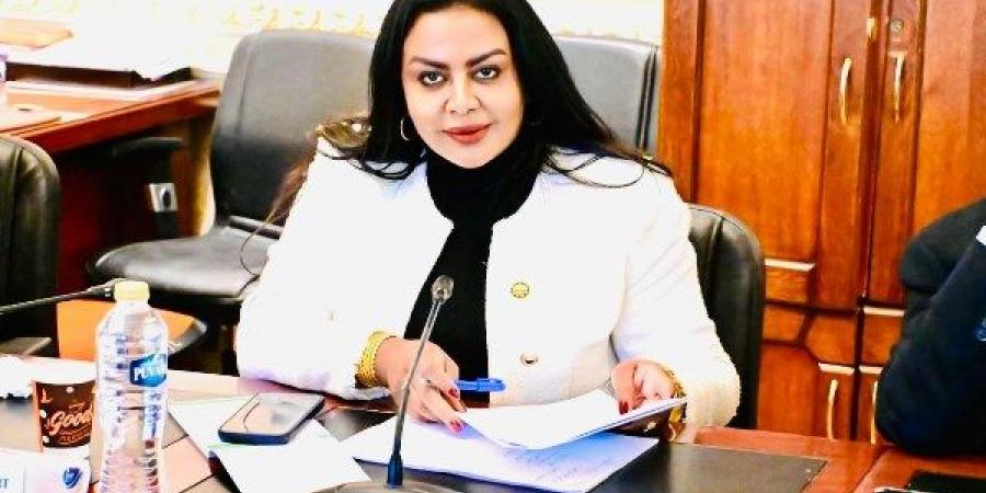 برلمانية: زيارة الوفد المصري الفلسطيني لمعبر رفح تأكيد على الرفض القاطع للتهجير - هرم مصر