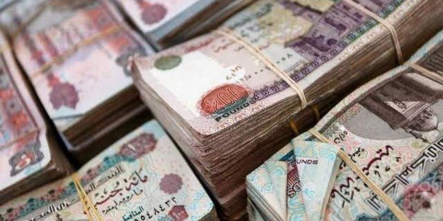 3.6 تريليون جنيه.. قيمة إشهارات سجل الضمانات المنقولة بنهاية يونيو 2025 - هرم مصر