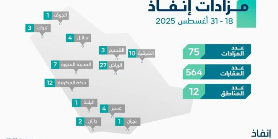 مركز إنفاذ يقيم 75 مزادًا لبيع 564 أصلًا - هرم مصر