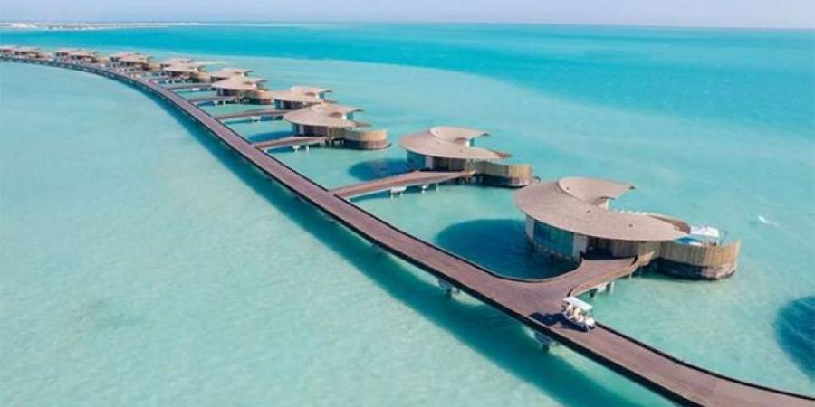 مشروع البحر الأحمر يوفر 100 ألف وظيفة - هرم مصر