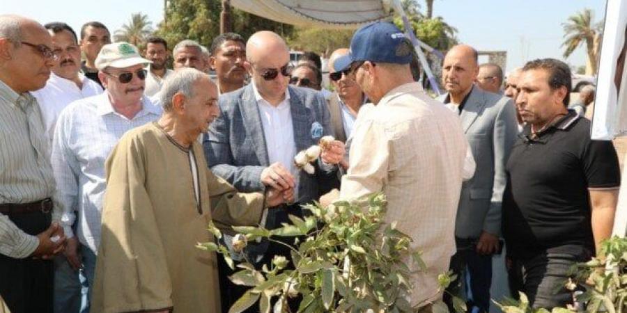 محافظ بني سويف يفتتح موسم جمع القطن من قرية النويرة - هرم مصر