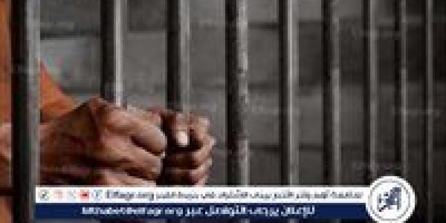 نيابة السنبلاوين..حبس المتهم بالاعتداء على سيدة طنامل وسرقتها - هرم مصر