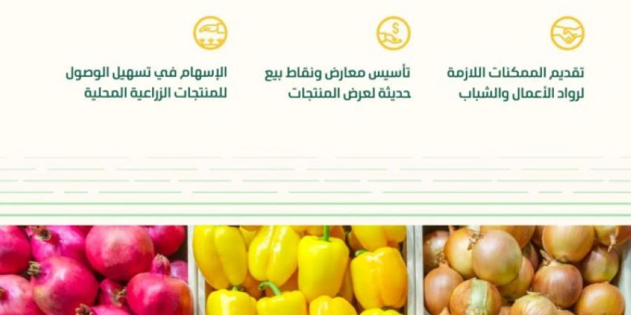البيئة تدشن 91 منفذًا حديثًا لرواد الأعمال لعرض وتسويق المنتجات الزراعية - هرم مصر
