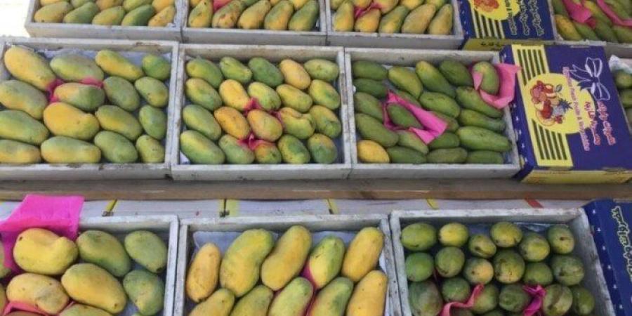 السكري بكام؟.. أسعار المانجو في سوق العبور اليوم الثلاثاء 19 أغسطس 2025 - هرم مصر