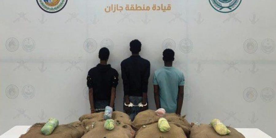 ضبط 3 أشخاص لمحاولتهم تهريب كمية من نبات القات المخدر بمنطقة جازان - هرم مصر