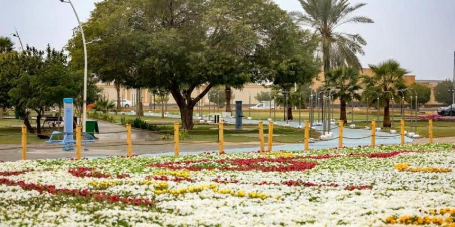 أمانة القصيم تواصل تعزيز أنسنه المدن عبر مبادرة أرض القصيم الخضراء - هرم مصر