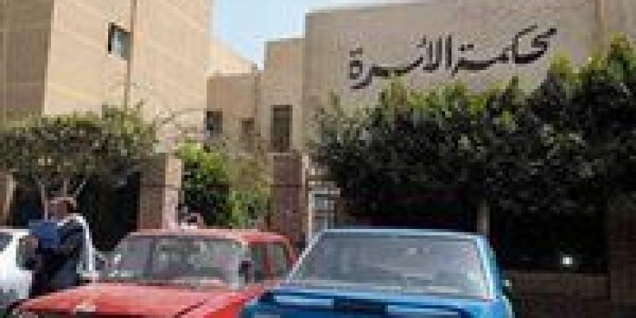صراعات بأركان محكمة الأسرة.. العقوبة القانونية لمن يمنع الأب من رؤية أطفاله - هرم مصر