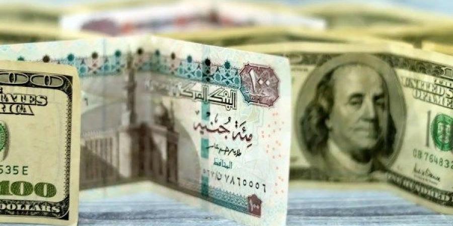 سعر الدولار مساء اليوم الثلاثاء 19-8-2025 - هرم مصر
