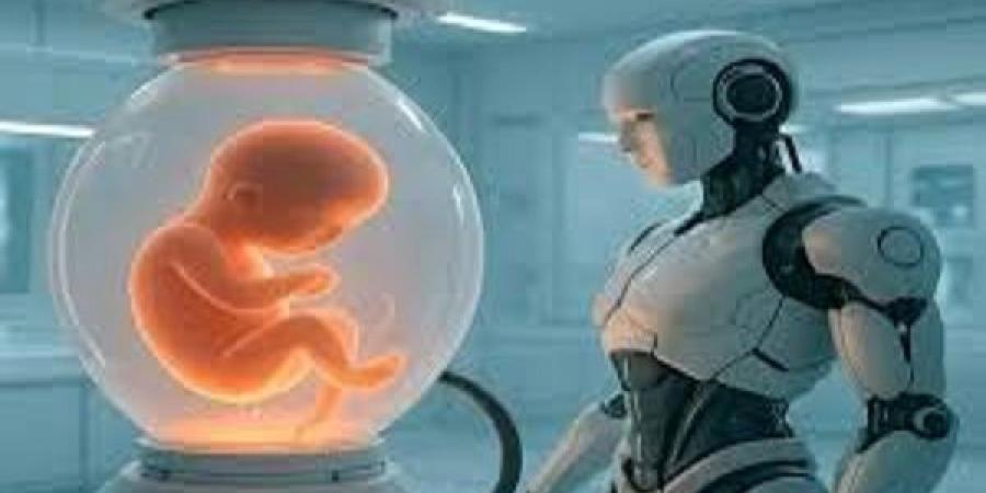 أمين الفتوى الرحم الصناعي إفساد للأمومة - هرم مصر