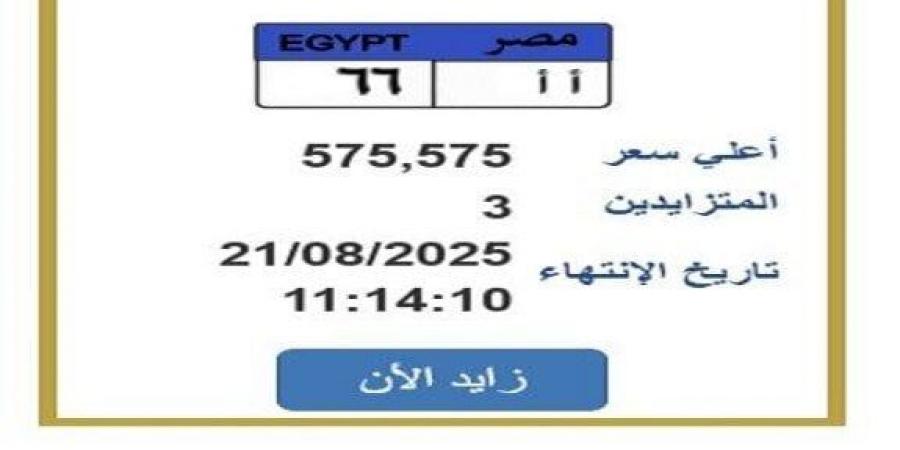 سعرها تخطى النصف مليون جنيه.. خطوات التزايد على لوحة سيارة مميزة - هرم مصر