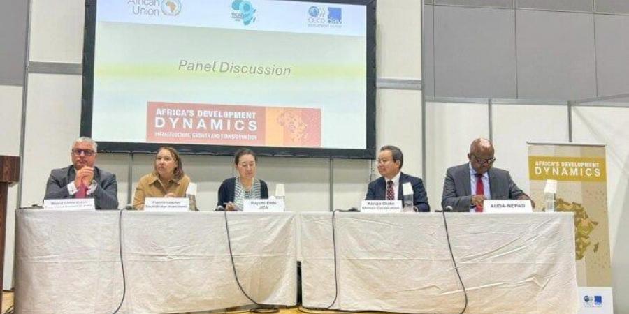 رئيس اقتصادية قناة السويس متحدثًا بحلقة نقاشية عقدتها OECD بمشاركة الاتحاد الإفريقي - هرم مصر