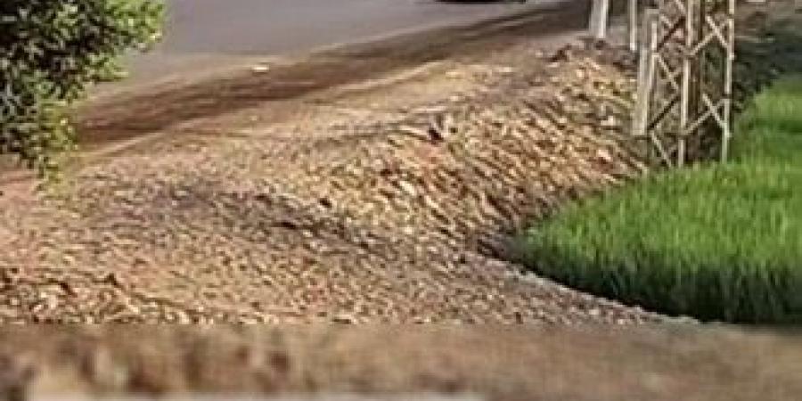 القبض عل سائقين استعرضا بسيراتهم فى حفل زفاف بالشرقية - هرم مصر