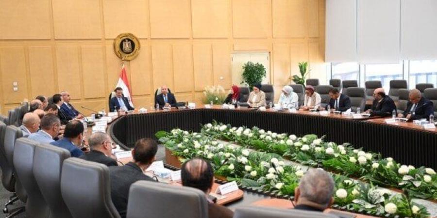 وزيرا الصناعة والزراعة يبحثان التوسع في تصنيع الزبيب وتوطين صناعة الكتان - هرم مصر