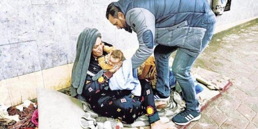 «التضامن»: التدخل السريع يتعامل مع حالات مسنين بلا مأوى في عدد من المحافظات - هرم مصر