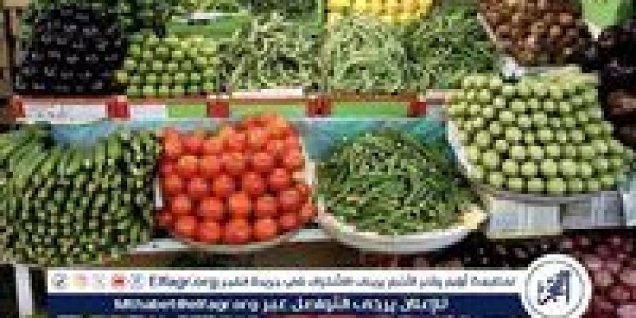 أسعار الخضروات اليوم الاربعاء 20-8-2025 في قنا - هرم مصر