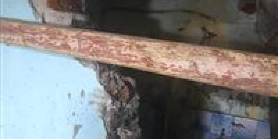 ضبط شقيقان يحفران داخل منزلهما للتنقيب عن الآثار بالدقهلية والنيابة تأمر بحبسهما - هرم مصر