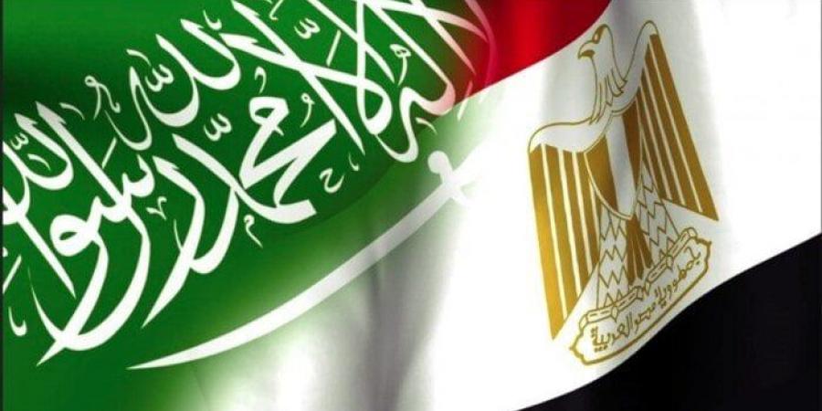 بـ قيمة 1.5 مليار جنيه.. صادرات مصر للسعودية تسجل ارتفاعا خلال النصف الأول من 2025 - هرم مصر